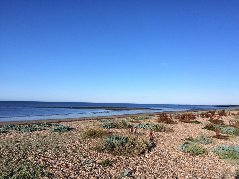 5 Reasons to Love Living in Littlehampton 5 Reasons to Love Living in Littlehampton