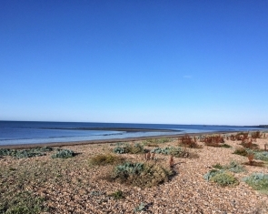5 Reasons to Love Living in Littlehampton